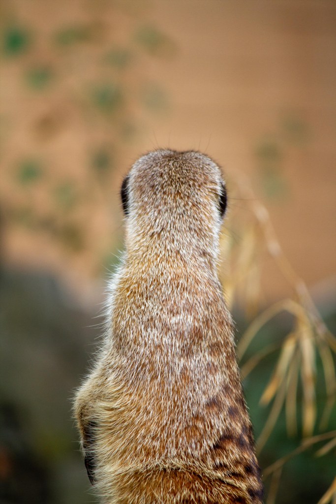 Michael Wieser Fotografie & Computer Art 2023